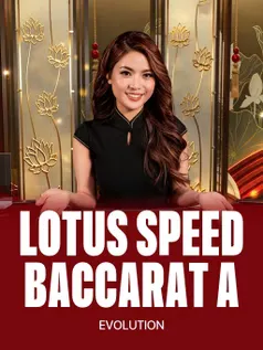 Lotus Speed Baccarat A élő asztal a Bison Casino élő kaszinójában